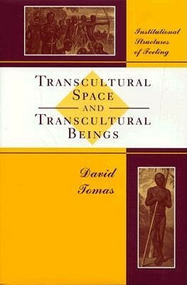 Transcultural Space And Transcultural Beings by David Tomas