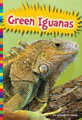 Green Iguanas by Elizabeth Raum