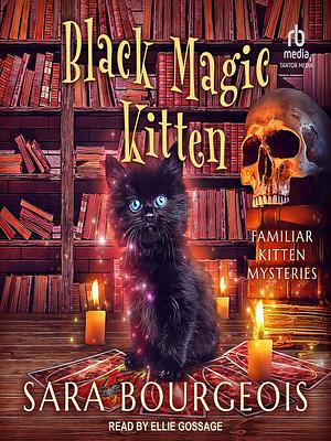 Black Magic Kitten by Sara Bourgeois