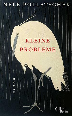 Kleine Probleme by Nele Pollatschek