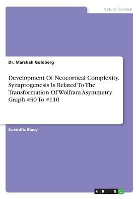 Development Of Neocortical Complexity. Synaptogenesis Is Related To The Transformation Of Wolfram Asymmetry Graph #30 To #110 by Marshall Goldberg