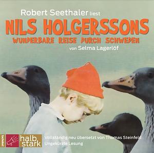 Nils Holgerssons wunderbare Reise durch Schweden by Selma Lagerlöf