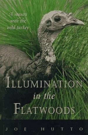 Illumination in the Flatwoods: A Season With the Wild Turkey by Joe Hutto, Joe Hutto