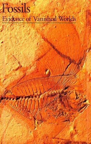 Discoveries: Fossils by Yvette Gayrard-Valy, Gayrard-Valy