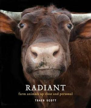 Radiant: Farm Animals Up Close and Personal (Farm Animal Photography Book) by Traer Scott