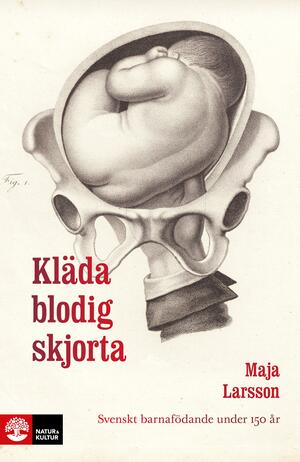 Kläda blodig skjorta: Svenskt barnafödande under 150 år by Maja Larsson
