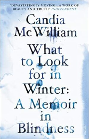What to Look for in Winter by Candia McWilliam