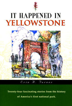 It Happened In Yellowstone by Erin Turner