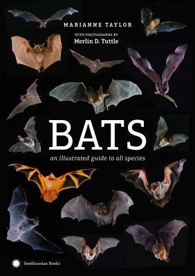 Bats: An Illustrated Guide to All Species by Marianne Taylor, Merlin D. Tuttle