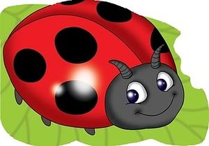 Ladybug by Sheryl Bone