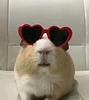 bea_vf05's profile picture