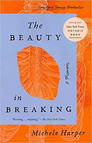 The Beauty in Breaking by Michele Harper