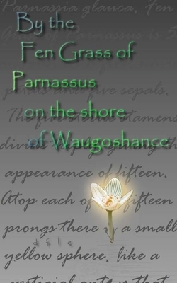By the Fen Grass of Parnassus on the shore of Waugoshance by Daniel F. L. Endicott
