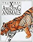 The X-Ray Picture Book of Amazing Animals by Gerald Legg, David Salariya