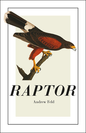 Raptor by Andrew Feld