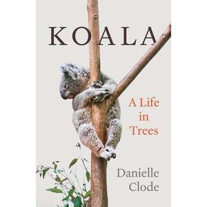 Koala: A Life in Trees by Danielle Clode