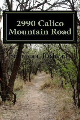 2990 Calico Mountain Road by Patricia Roberts