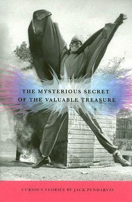 The Mysterious Secret of the Valuable Treasure by Jack Pendarvis