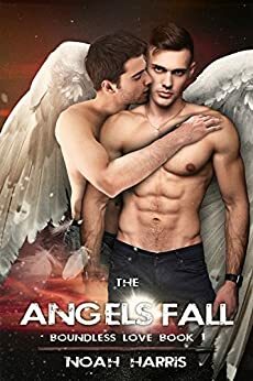 The Angels Fall by Noah Harris