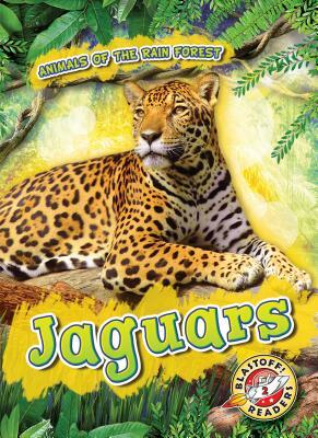 Jaguars by Rachel Grack