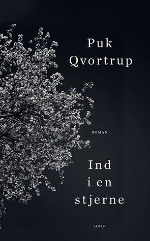 Ind i en stjerne by Puk Qvortrup