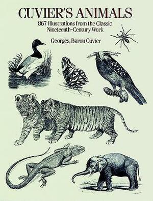 Cuvier's Animals: 867 Illustrations from the Classic Nineteenth-Century Work by Georges Cuvier