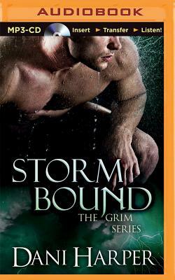 Storm Bound by Dani Harper