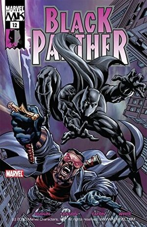 Black Panther (2005-2008) #12 by Scot Eaton, Reginald Hudlin, Klaus Janson, Mike Deodato Jr.