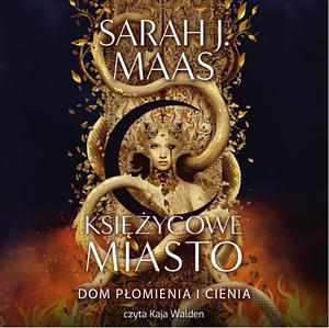 Dom Płomienia i Cienia by Sarah J. Maas