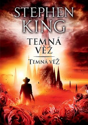 Temná věž: Temná věž by Stephen King