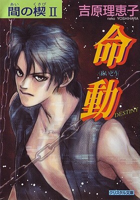 AI No Kusabi the Space Between Volume 2: Destiny (Yaoi Novel) by Rieko Yoshihara