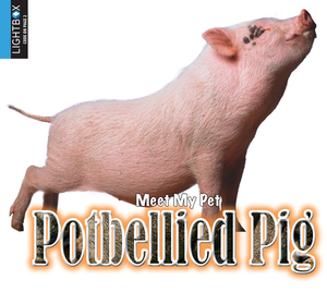 Potbellied Pig by Jared Siemens