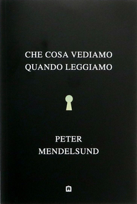 Che cosa vediamo quando leggiamo by Peter Mendelsund