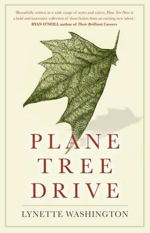 Plane Tree Drive by Lynette Washington