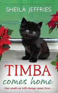 Timba Comes Home by Sheila Jeffries