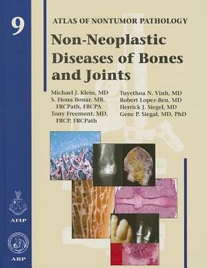 Non-Neoplastic Diseases of Bones and Joints by Michael J. Klein