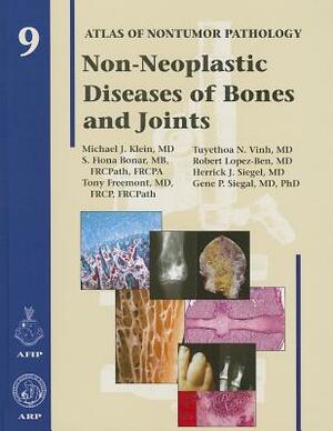 Non-Neoplastic Diseases of Bones and Joints by Michael J. Klein