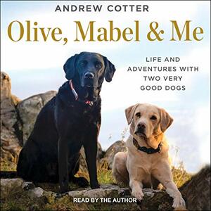 Olive, Mabel and Me: Life and Adventures with My Canine Companions by Andrew Cotter