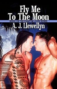 Fly Me to the Moon by A.J. Llewellyn