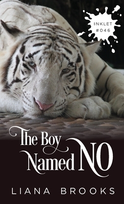 The Boy Named No by Liana Brooks