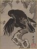 towercorvid's profile picture