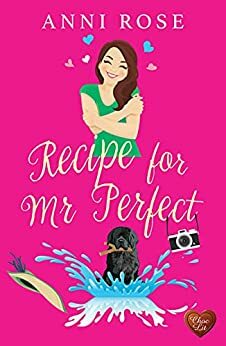 Recipe for Mr Perfect by Anni Rose