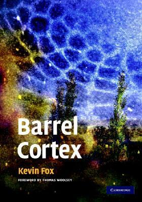 Barrel Cortex by Kevin Fox