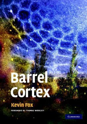 Barrel Cortex by Kevin Fox