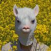 klyderub's profile picture