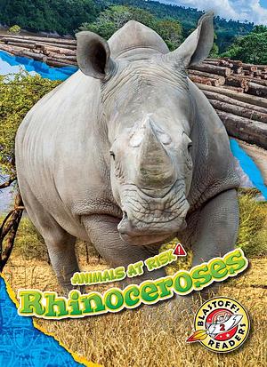 Rhinoceroses by Rachel Grack