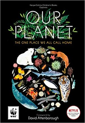 Our Planet: The One Place We All Call Home by Matt Whyman