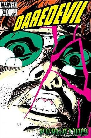 Daredevil (1964-1998) #228 by Frank Miller