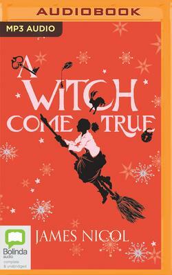 A Witch Come True by James Nicol