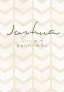 Joshua: Every Good Promise Fulfilled by Jen Wilkin